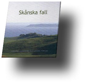 Skala 1:1